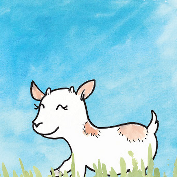  Little Goat