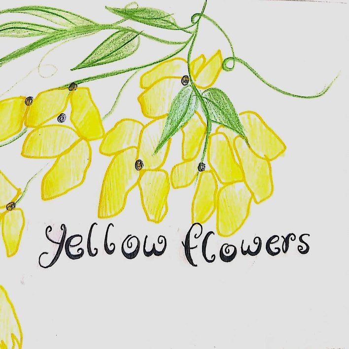  Yellow Flowers