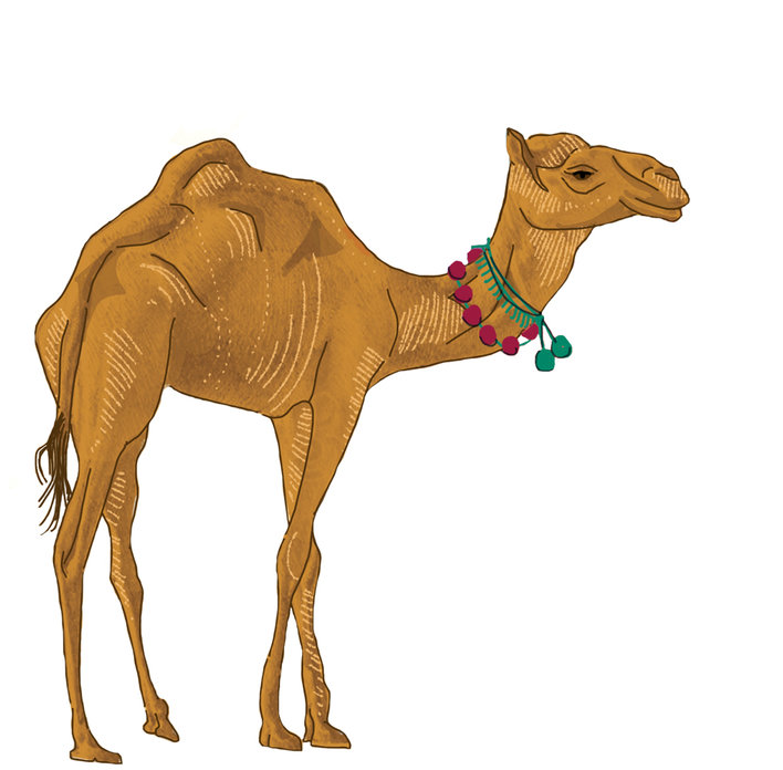  How Camel got his hump