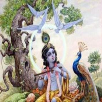  Lord Krishna