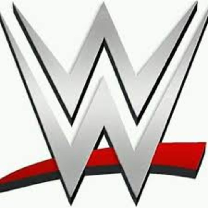  THE HISTORY OF WWE